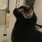 acevedo (Iván Acevedo) OnlyFans Leaked Pictures & Videos 

 profile picture