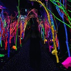 adventurehoe (Cassie) OnlyFans Leaked Content 

 profile picture