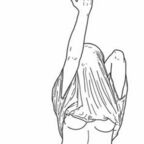 Free access to (@alexamarie.123) Leaked OnlyFans 

 profile picture