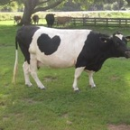 Free access to @alexglass Leaked OnlyFans 

 profile picture