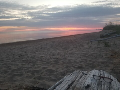 Header of alicepaige