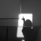 Onlyfans leaks alien99 

 profile picture