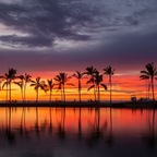 All Day 808 (allday808) Leak OnlyFans 

 profile picture