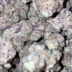 Download almightdollabill OnlyFans leaks for free 

 profile picture