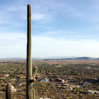 angelodelo OnlyFans Leaked 

 profile picture