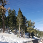 aquarian666 OnlyFans Leaked 

 profile picture