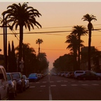 arey1231 OnlyFans Leaked Photos and Videos 

 profile picture