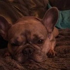 ash_985 OnlyFans Leaks 

 profile picture