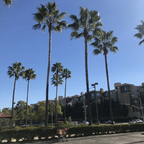 Onlyfans leak ayoitsme42069 

 profile picture