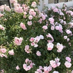 babybugg OnlyFans Leak 

 profile picture