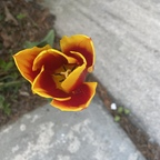 babydoll360 (C3841) OnlyFans Leaks 

 profile picture