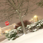 Free access to badbitchsummer0316 Leak OnlyFans 

 profile picture