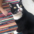 Download baetrix OnlyFans content for free 

 profile picture