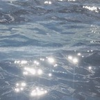 ʙᴀʀᴇ ʏᴏɢᴀ ʙᴀʙᴇ @bareyogababe Leaked OnlyFans 

 profile picture