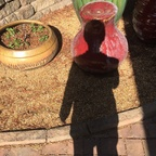 bayareabased OnlyFans Leaks 

 profile picture