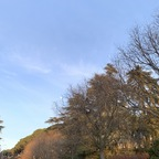 beachass (Pou) OnlyFans Leaked Videos and Pictures 

 profile picture