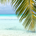 Onlyfans leak beachy 

 profile picture