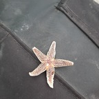 u186934253 @bellaamira Leaks OnlyFans 

 profile picture