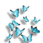 Download bellal OnlyFans leaks for free 

 profile picture