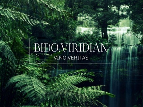 Header of bido.viridian