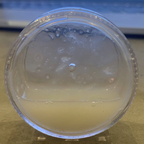 Onlyfans leaks biggestblaster 

 profile picture