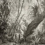 Download blissfull OnlyFans videos and photos for free 

 profile picture