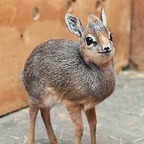 Free access to bob_lablah Leaked OnlyFans 

 profile picture