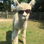 bootypalace OnlyFans Leaked 

 profile picture