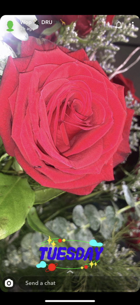 Header of bosstonnaaa