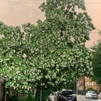 brandiie7 OnlyFans Leaked Photos and Videos 

 profile picture