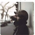 Onlyfans leaked brightest 

 profile picture