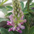 Free access to brzoskwinia Leaks OnlyFans 

 profile picture