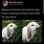 bunnybums OnlyFans Leaked Photos and Videos 

 profile picture