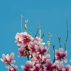 Download bunnybunn OnlyFans content for free 

 profile picture