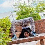 Cherry Bunny bunnycontorsion Leaked OnlyFans 

 profile picture