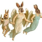 i know the law baby @bunnygorl Leaks OnlyFans 

 profile picture