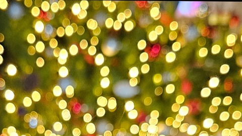 Header of camillabrown