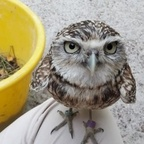 canton (Canton) OnlyFans Leaked Content 

 profile picture