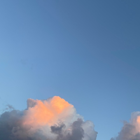 Header of capricornmamiiii