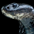 carantinos @carantinos Leaked OnlyFans 

 profile picture