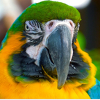 checkit212 OnlyFans Leaked Photos and Videos 

 profile picture