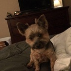 Chellb @chellb Leaks OnlyFans 

 profile picture