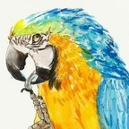 Onlyfans leaked chennie 

 profile picture