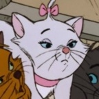 🥀 chokeprincess Leak OnlyFans 

 profile picture