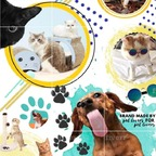 cintiabello (Cintia bello) free OnlyFans Leaked Videos and Pictures 

 profile picture