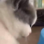 Onlyfans leak circa 

 profile picture