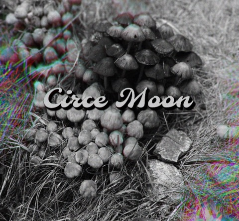 Header of circemoonx