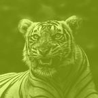 colinkane (Colin Kane) free OnlyFans Leaked Content 

 profile picture