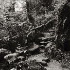 Download connerd123 OnlyFans videos and photos for free 

 profile picture