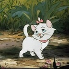 Download cque_b OnlyFans content for free 

 profile picture